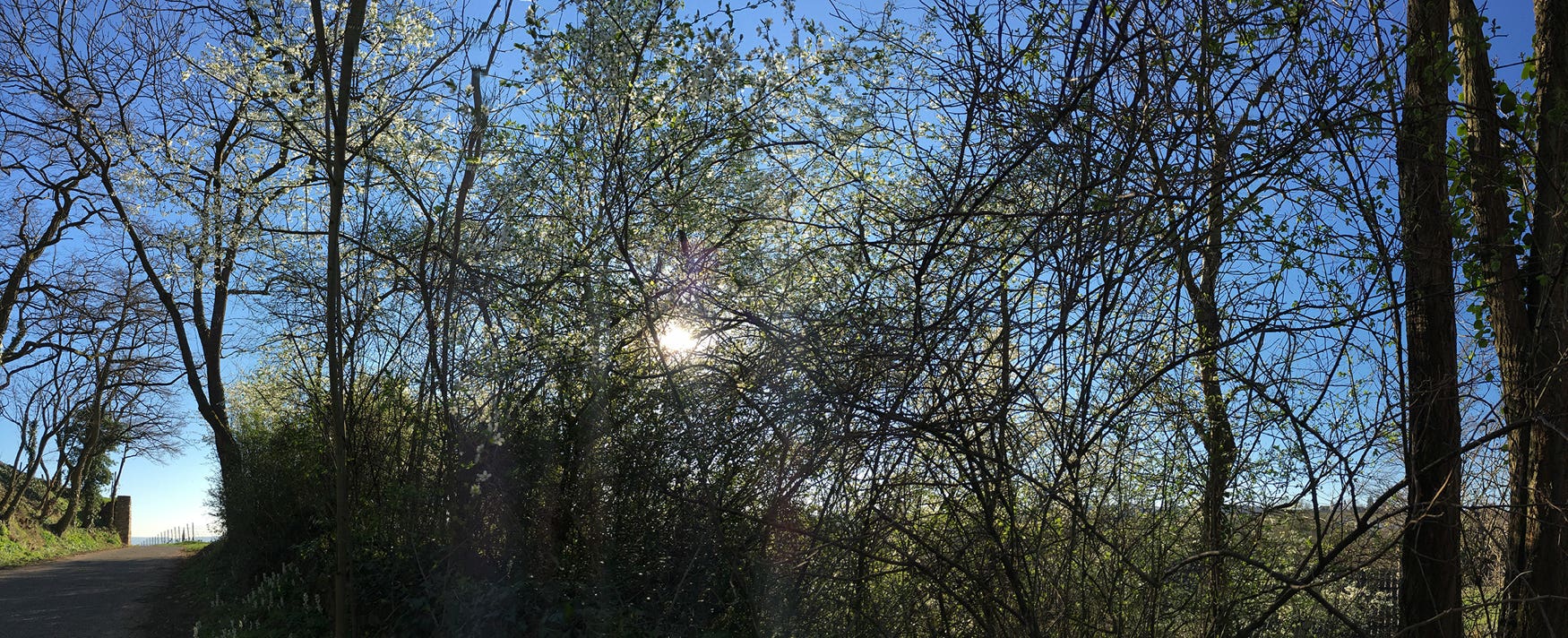 img_11 Schoene Aussicht 170327