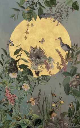 img_14 Goldies Nr 1 (Schimpanse)