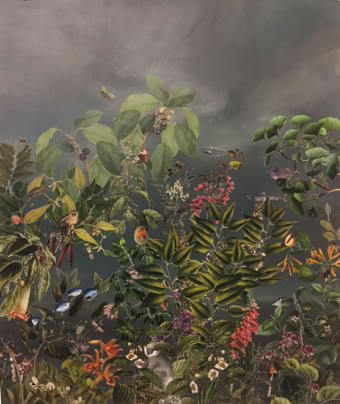 img_01 Paradies (Nr 15)